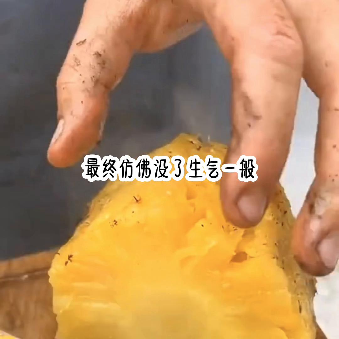 宝宝真爱@DOU+小助手