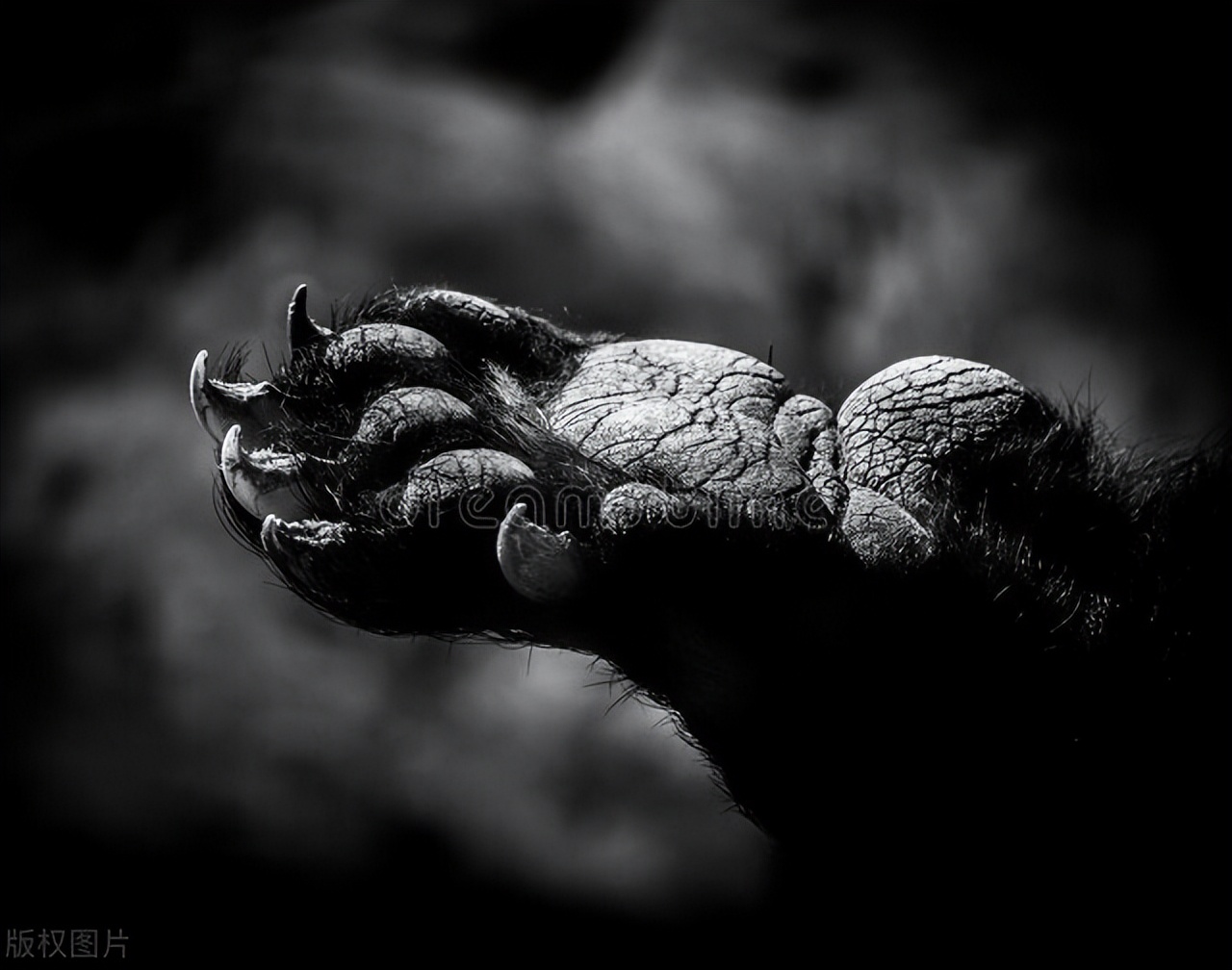 我在俄罗斯工作时候的中国同事,为了赚外快,偷偷帮人带*私走**物品