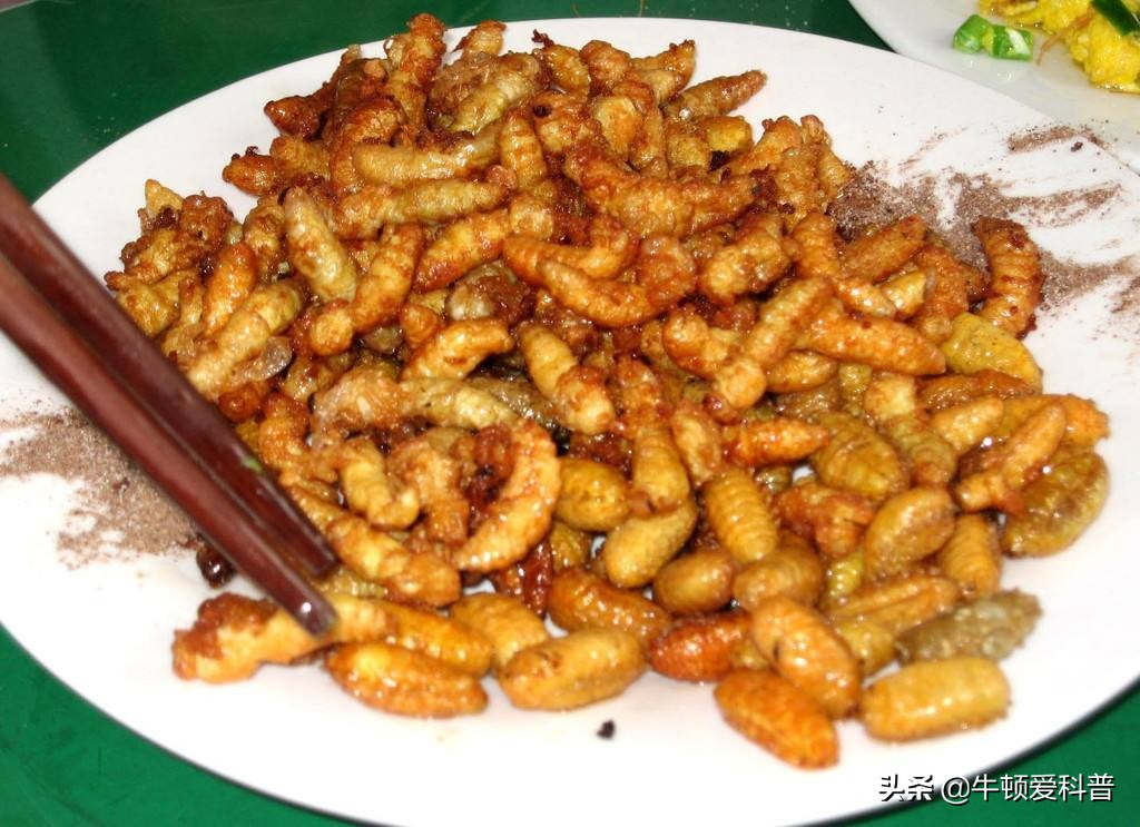 咬人虎头蜂,黑尾虎头蜂被寄生