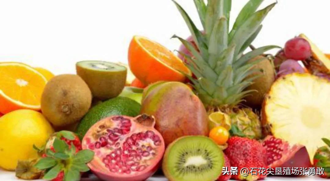 如果阳了吃什么最好,如果阳了吃什么好得快