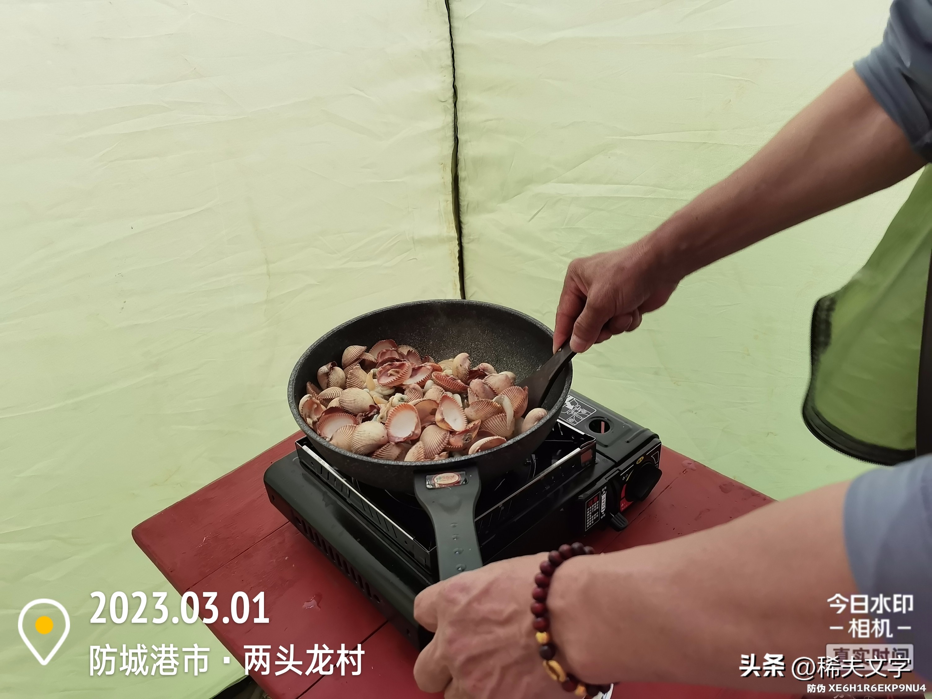 自驾游做饭用酒精炉还是卡式炉,床车自驾游有必要买移动厨房吗