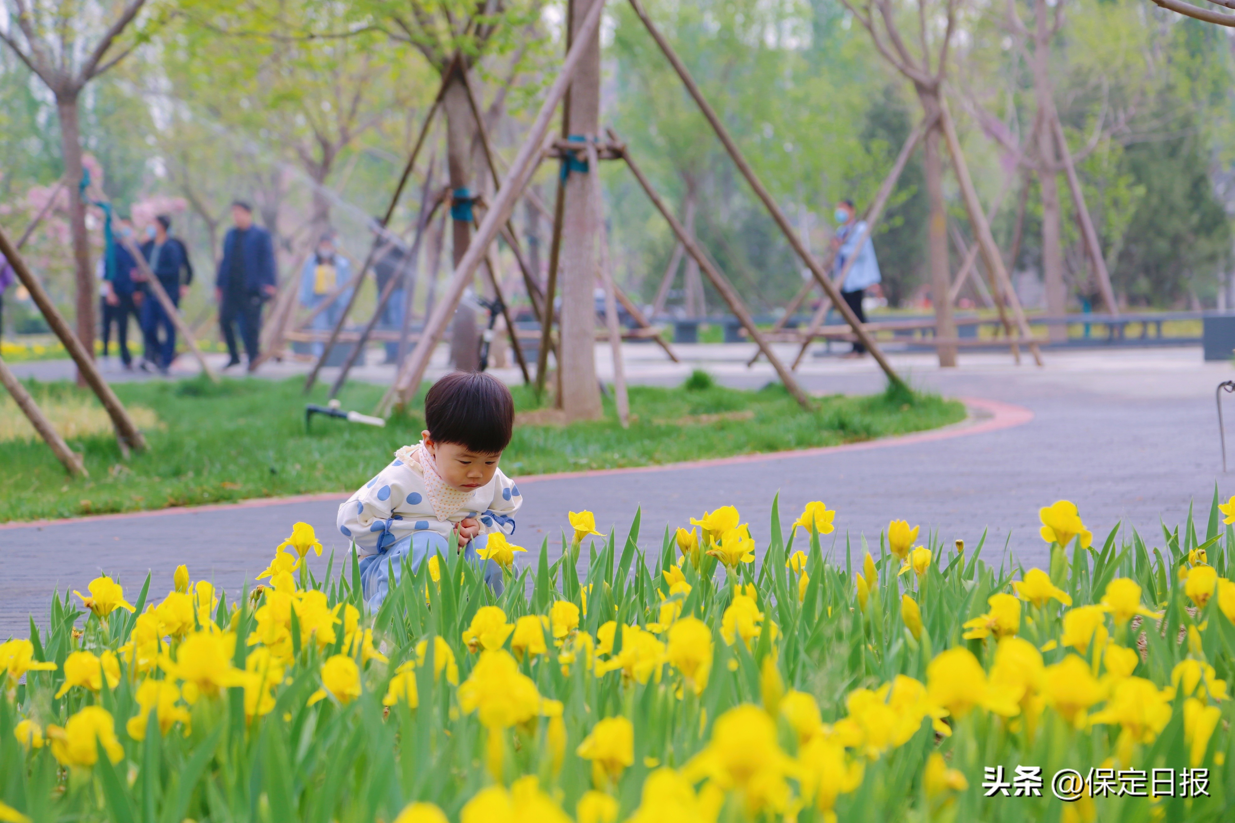 公园的建设,公园城市建设建议