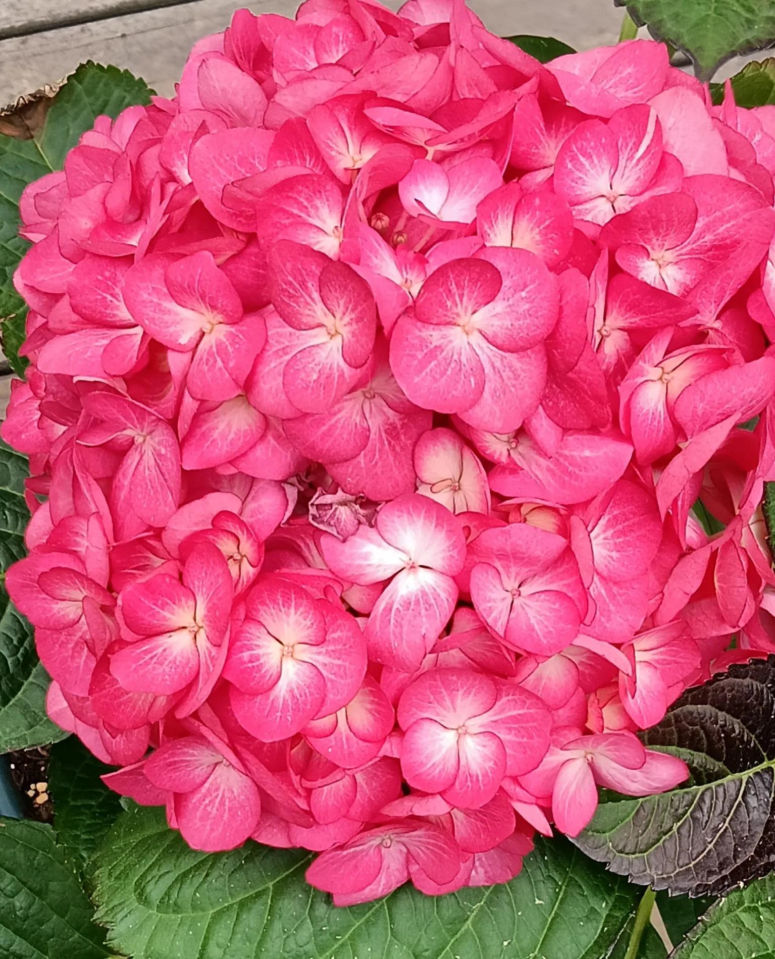 微信聊天记录非异常丢失怎么恢复,微信聊天记录异常丢失怎么恢复