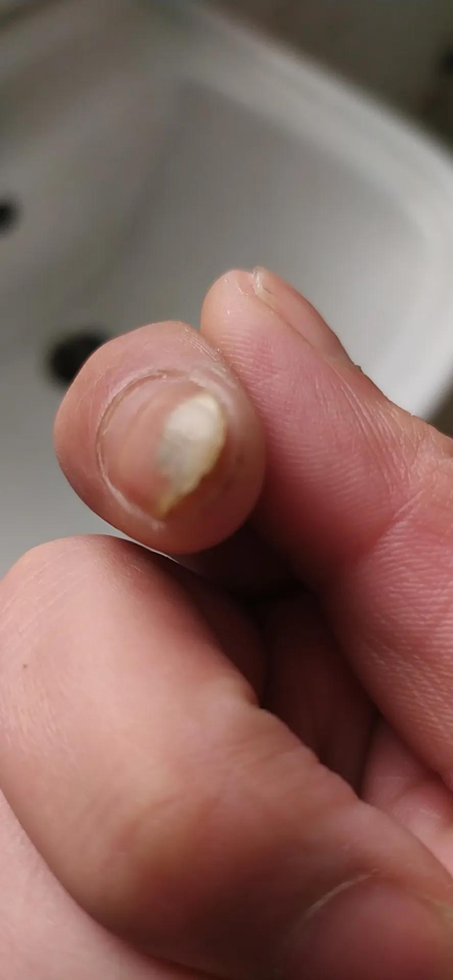 冷链装卸工的好处,塘沽冷链装卸工