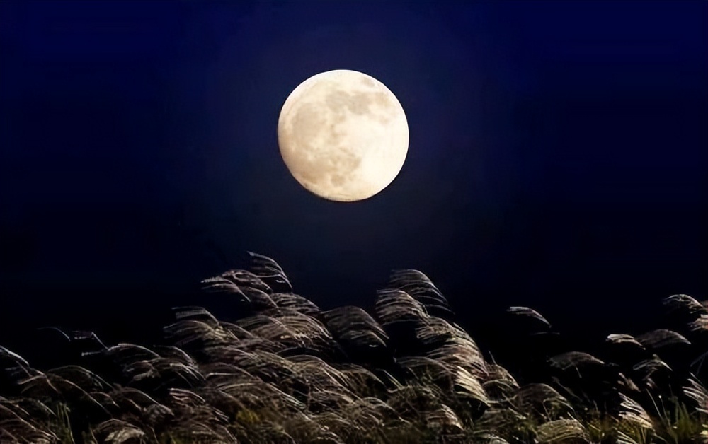 大风跑过〖亦然选粹.长篇抢读.11〗