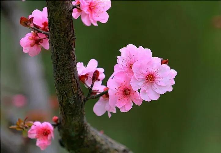 那些年我经历过的事情,那些年我经历过的曲折