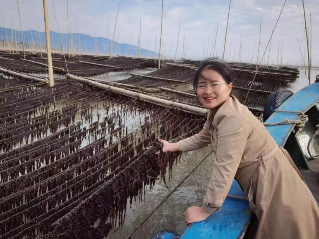 福建政和返乡创业致富,霞浦大学生创业开店