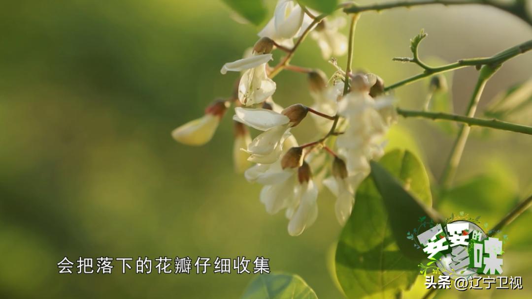 辽宁适合2-3天美食之旅,辽宁省适合吃货旅游的地方