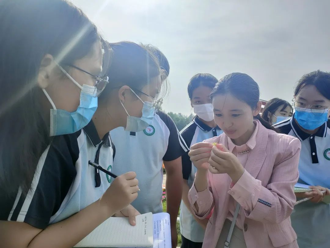 洛龙区十二中研学活动,洛阳研学实践活动