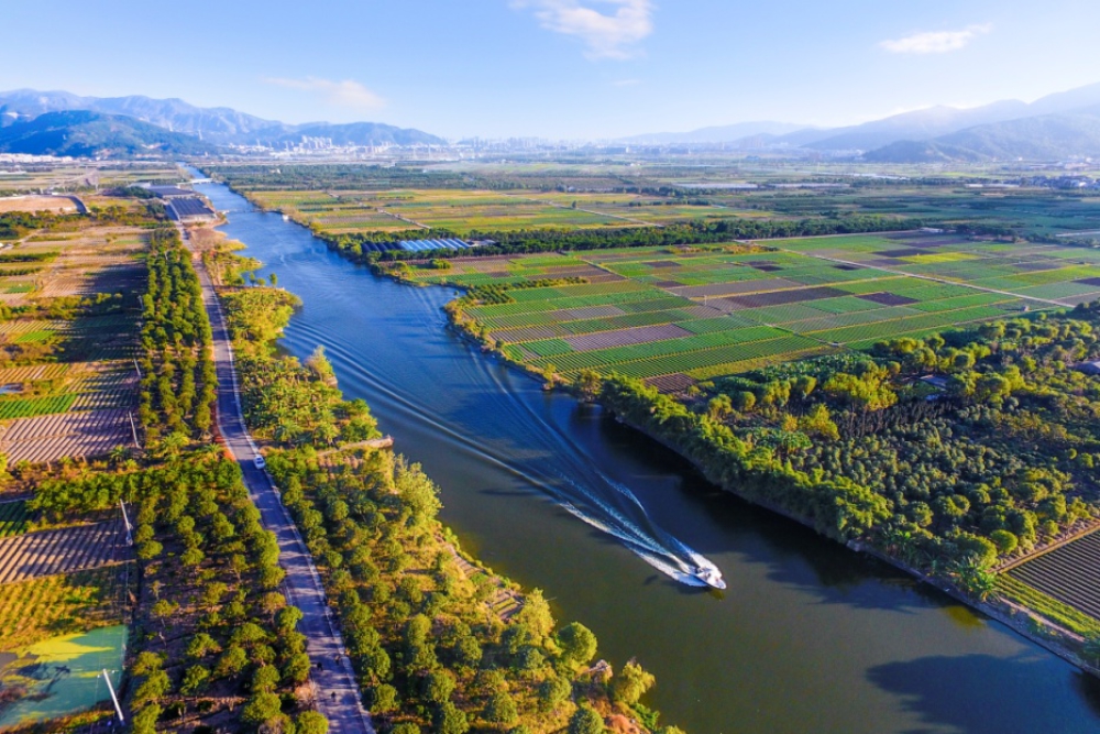 回响瓯海2022（20）|向美而行，谱写山水瓯海城镇富美新诗卷