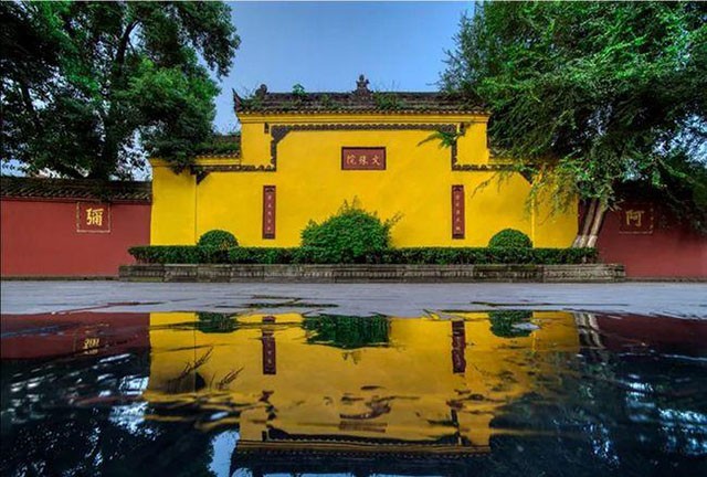 中国男排朱刚视频,男排朱刚的遗孀