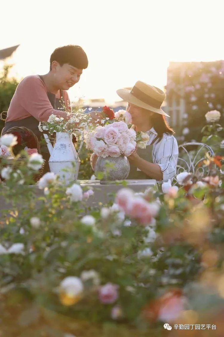 第八届园丁奖露台组《030号》洛基花园