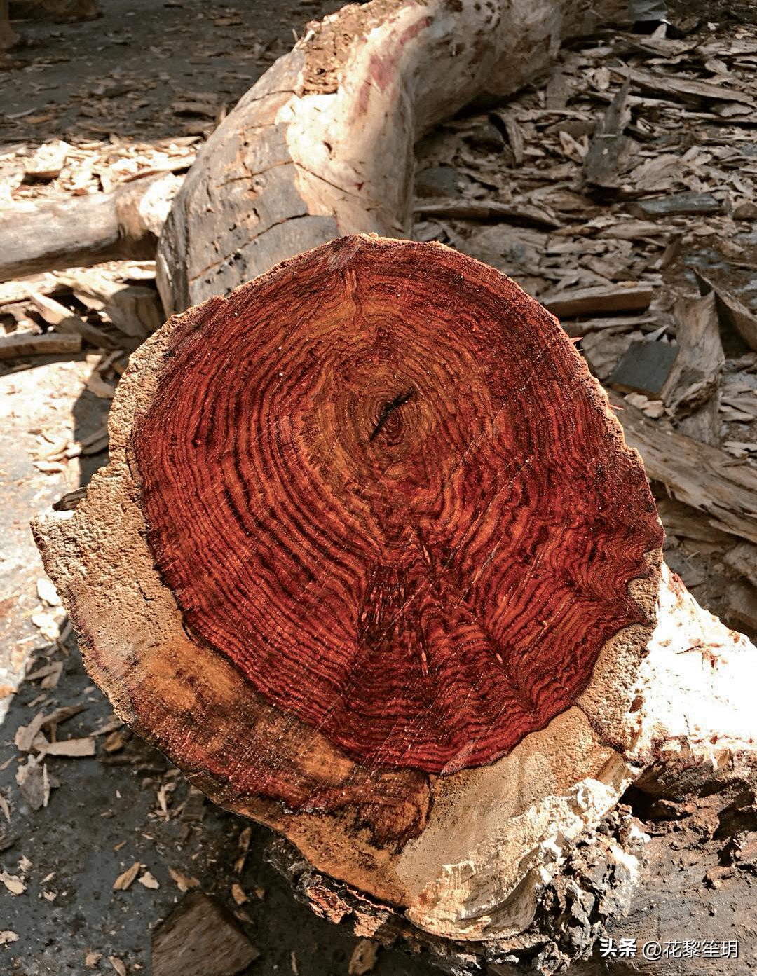黄花梨家具最好的款式,黄花梨家具大全及价格