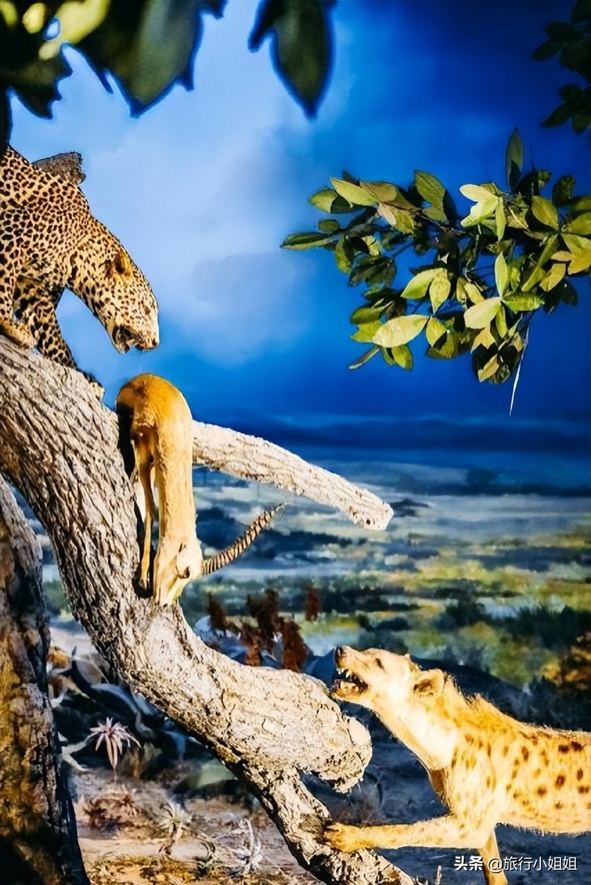 夏日海边浪漫迷人,滨城风光秀丽浪漫气息爆表