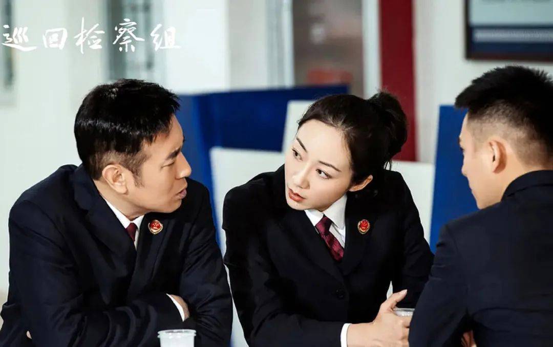 点评电视剧巡回检察组,巡回检察组电视剧一口气看完