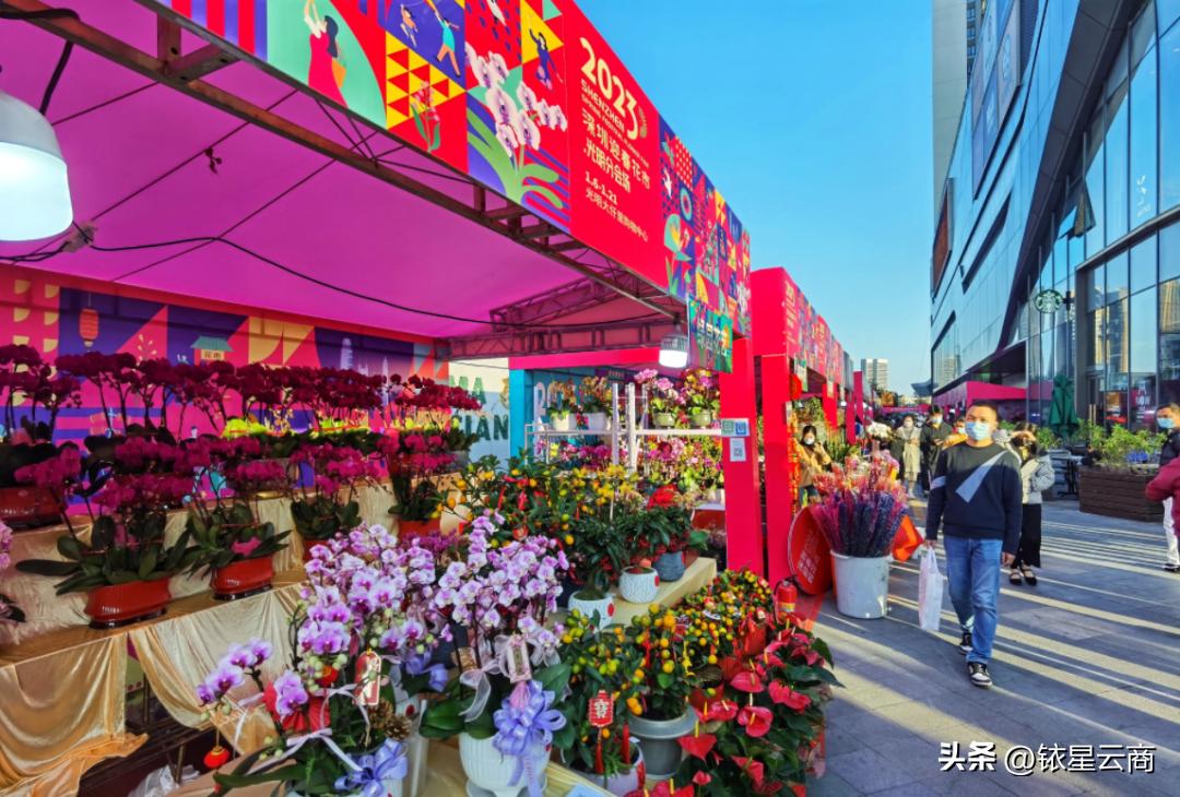 2023购物中心大展宏“兔”特别企划-深圳篇