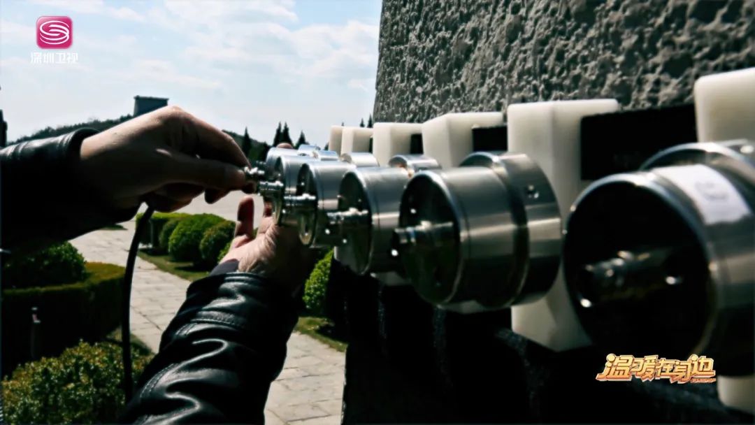 能给病人看病的是什么医生,专门给动物看病