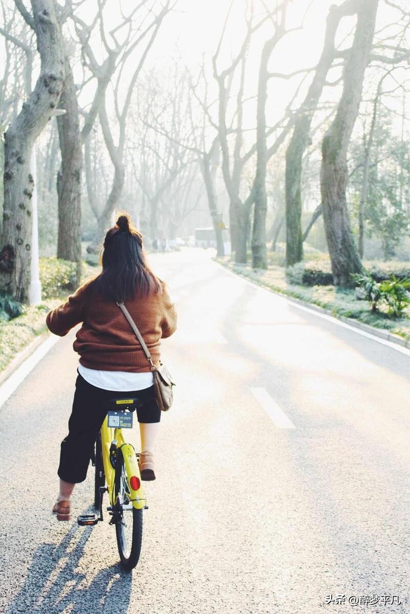 中国5a西湖,西湖5a景区