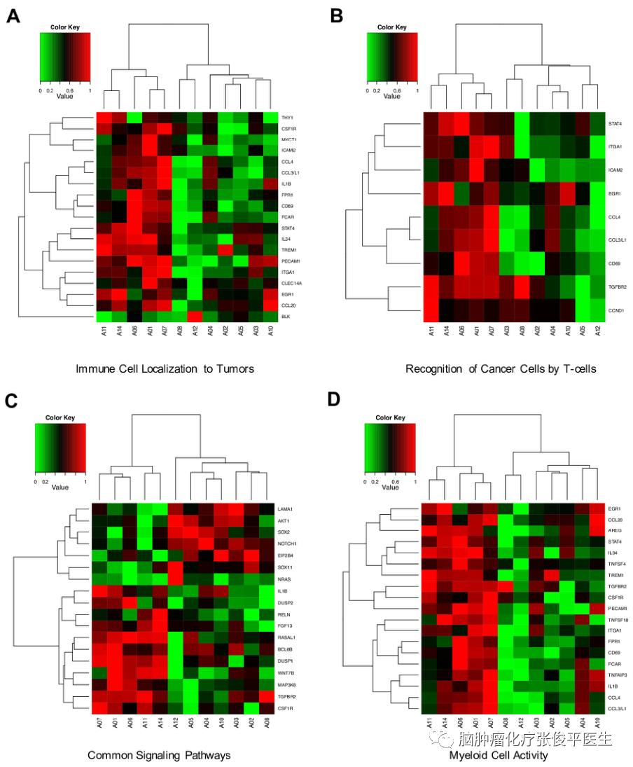 自体过继免疫细胞疗法在复发GBM患者中的安全性和疗效