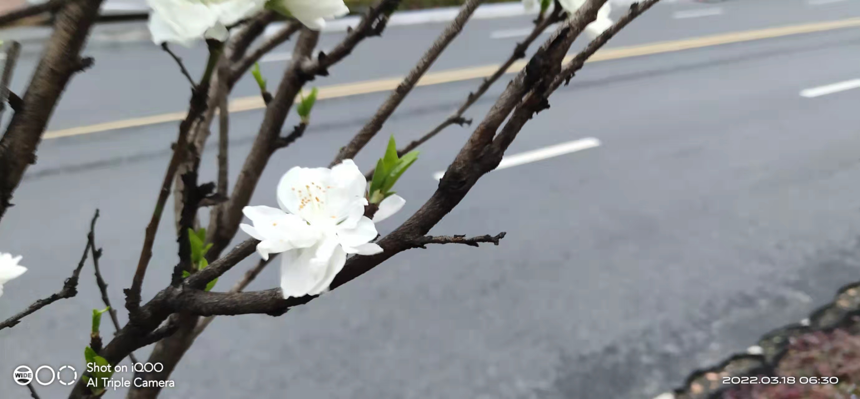 萧山风景拍照打卡地,萧山网红打卡景点春季