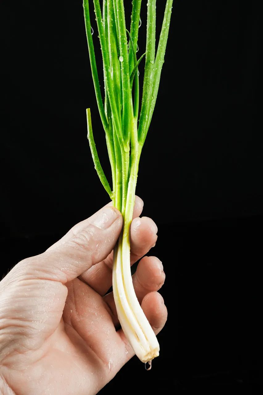 为什么叫山东大葱,为什么大葱用葱白不用葱绿