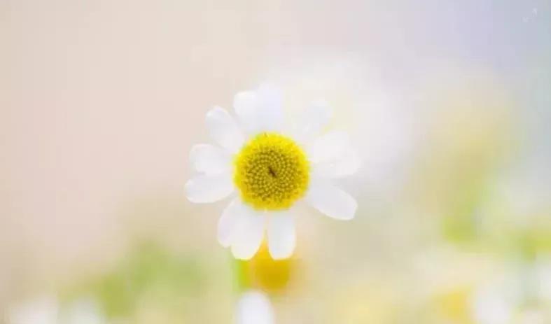 知道学习很重要但又不想去学习,孩子学习动力不足不想学习怎么办