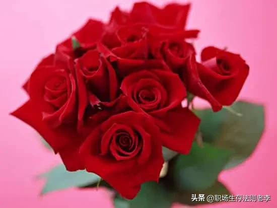 情人节送你几朵玫瑰花代表什么,情人节为什么要送女友礼物