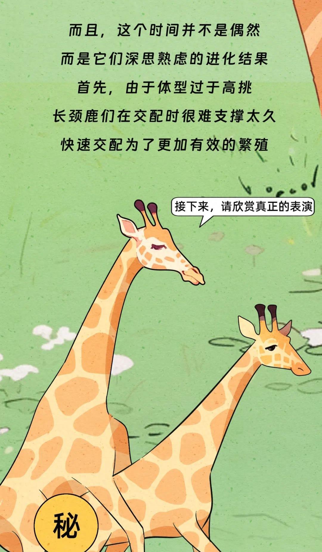 动物交配行为鉴赏，真的触碰到了我的知识盲区（漫画）