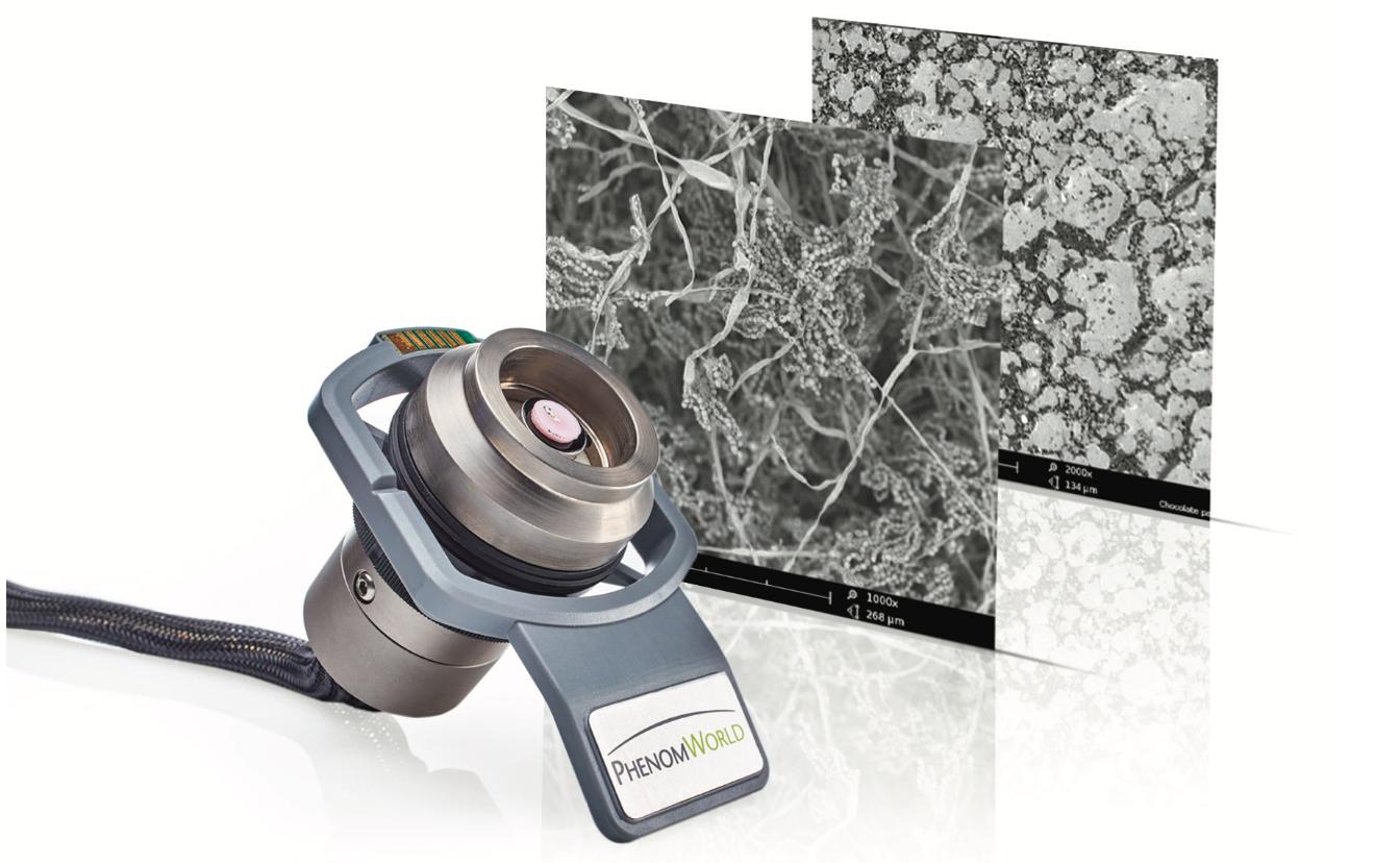 飞纳电镜和含水样品的冰雪奇缘