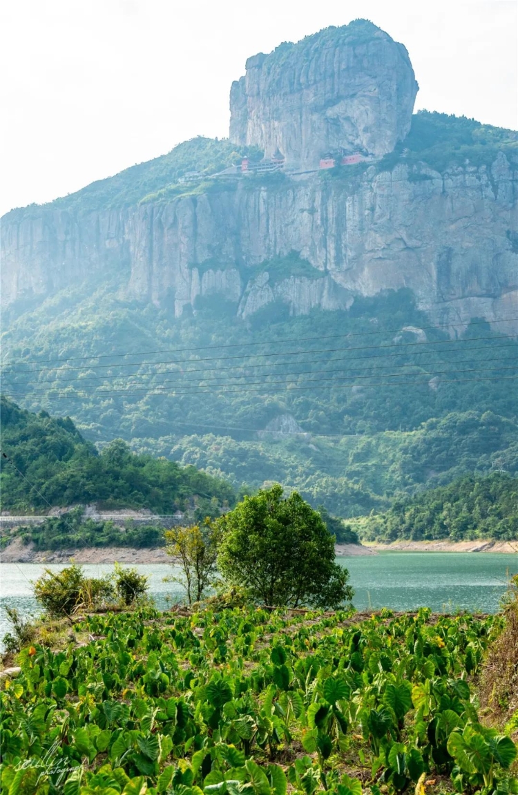 温州秋天的景,温州的秋天