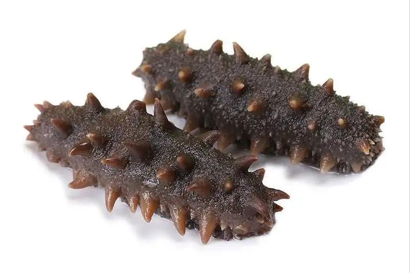 海参有营养吗是智商税吗,海参有价值吗视频