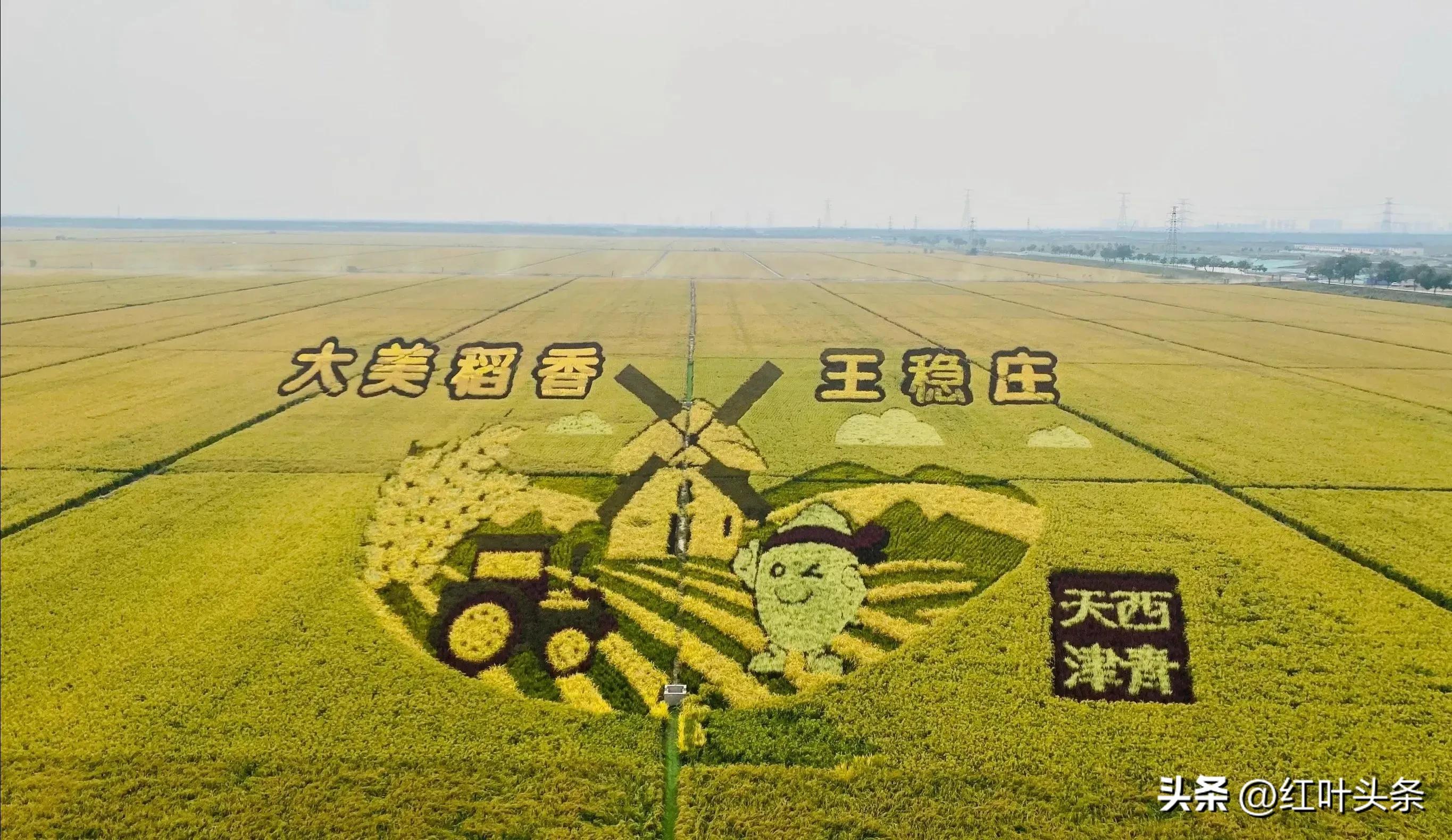 天津三绝诗,赞美天津市的七绝诗