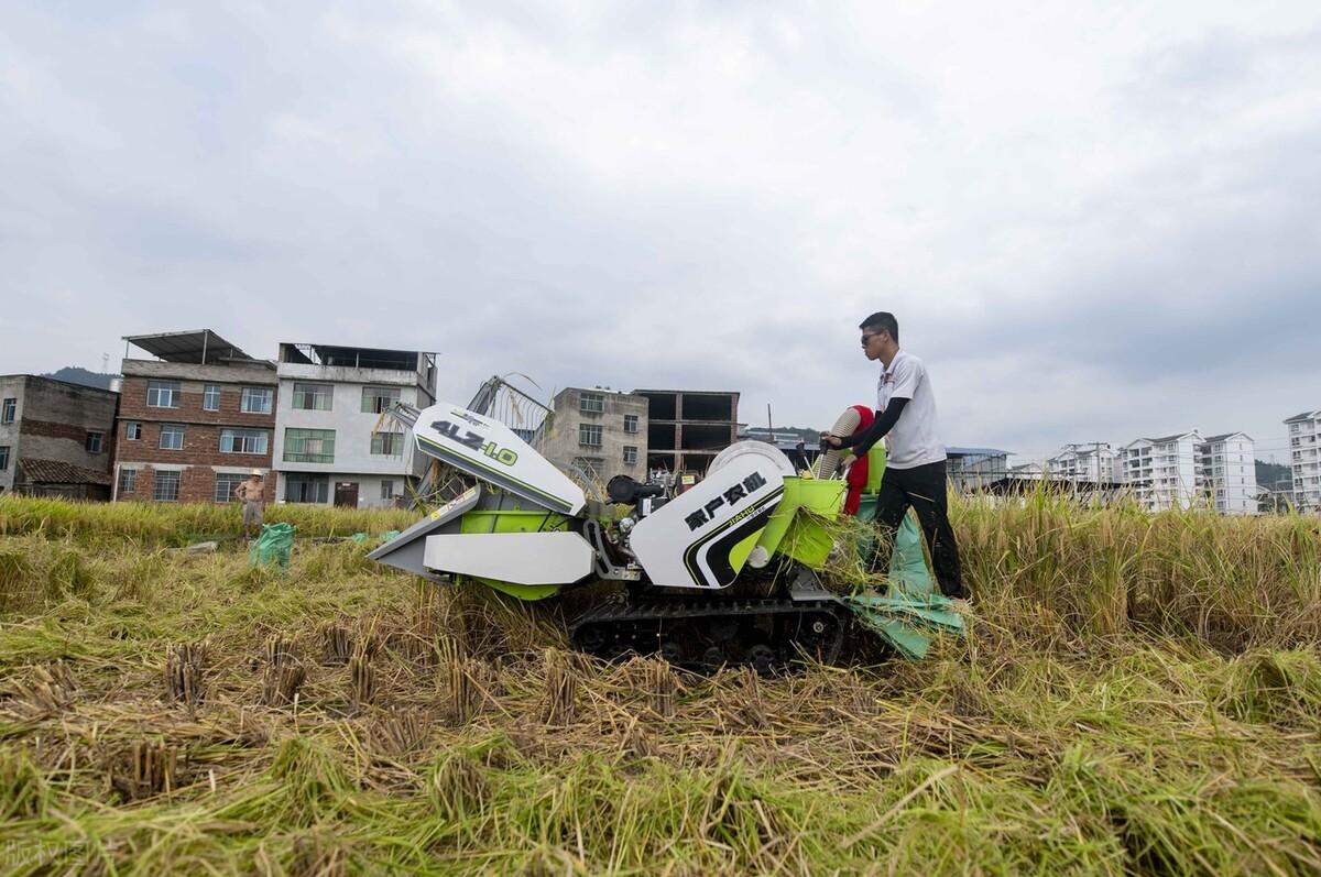 二手久保田水稻联合收割机,最好的水稻收割机久保田