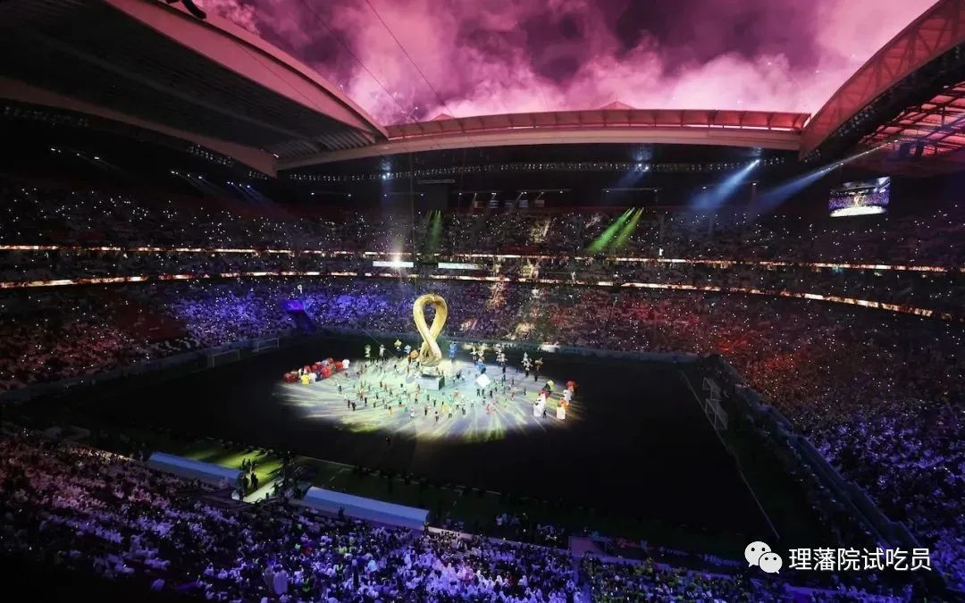 世界杯伊朗对德国,德国对伊朗世界杯