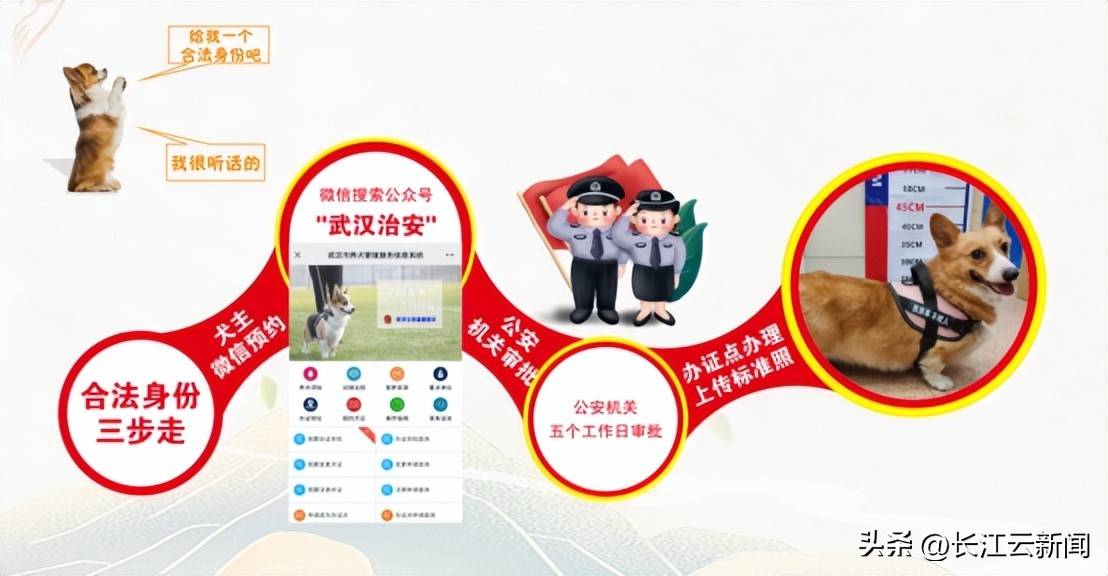 武汉狗狗哪里办证,武汉狗狗办证流程