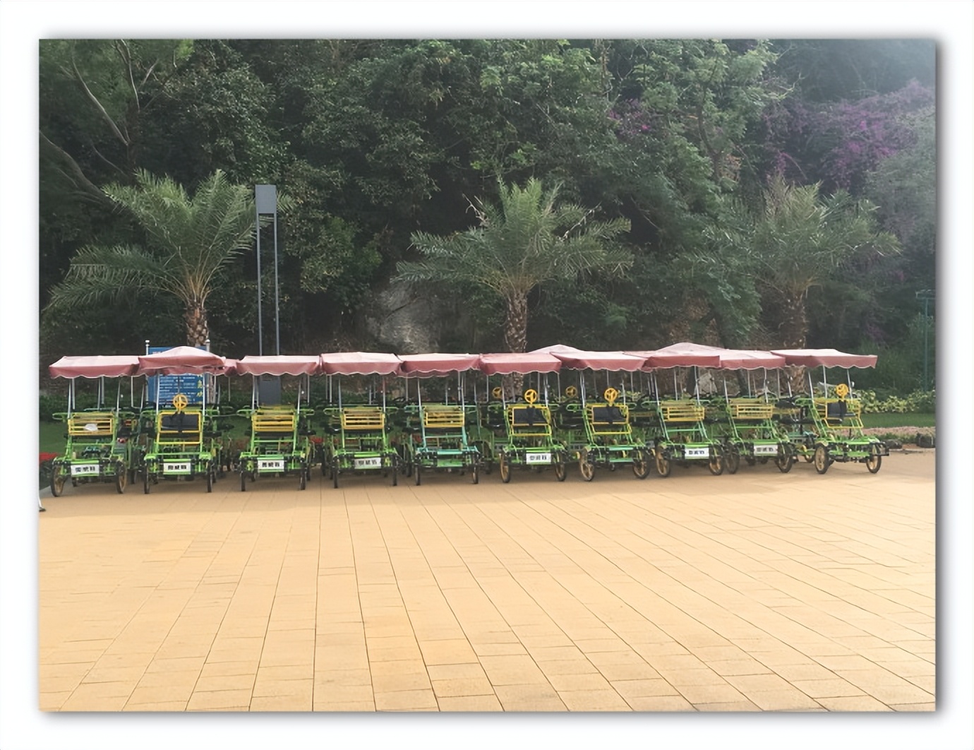 珠海野狸岛最新消息,珠海野狸岛有住宿吗