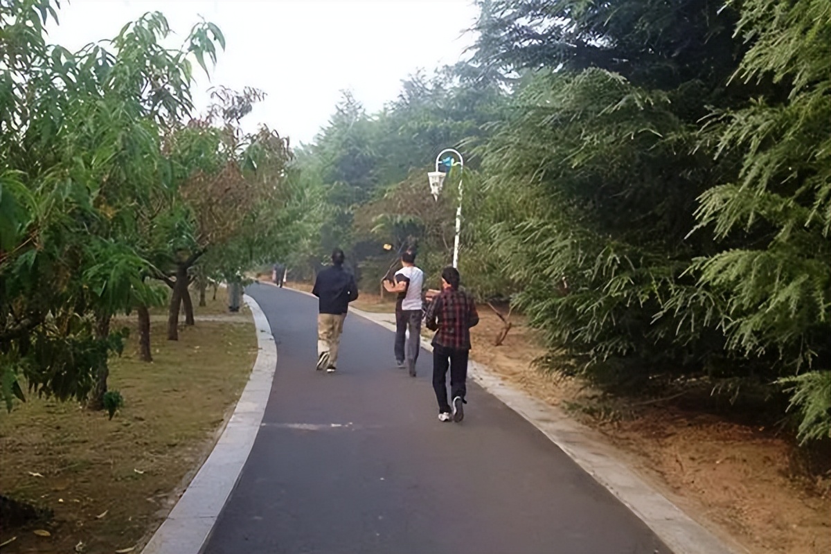 跑步是好事还是坏的,跑步是伤膝盖还是有利膝盖