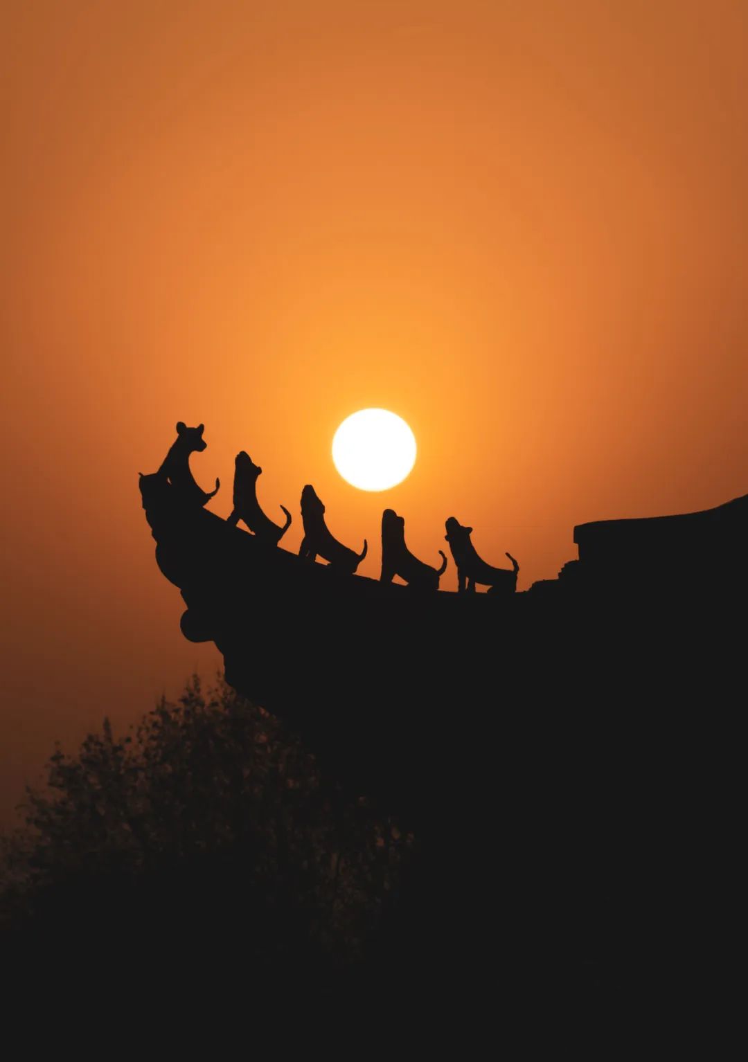 逆光背影如何拍摄好看,逆光剪影拍摄技巧