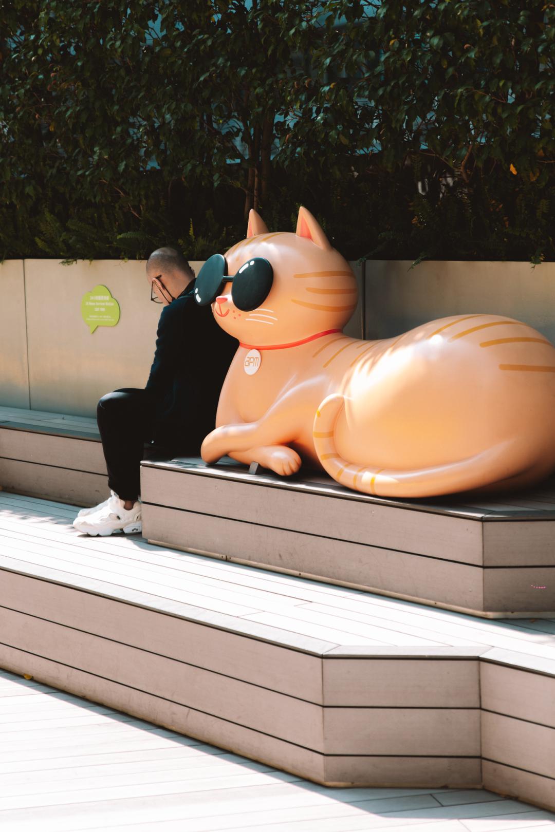 48h旅游攻略,香港h2攻略