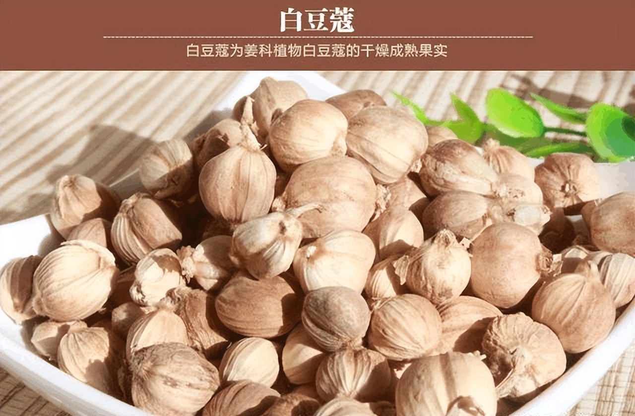 肉蔻白蔻和豆蔻这几种香料的功效,豆蔻和白豆蔻是一种香料吗