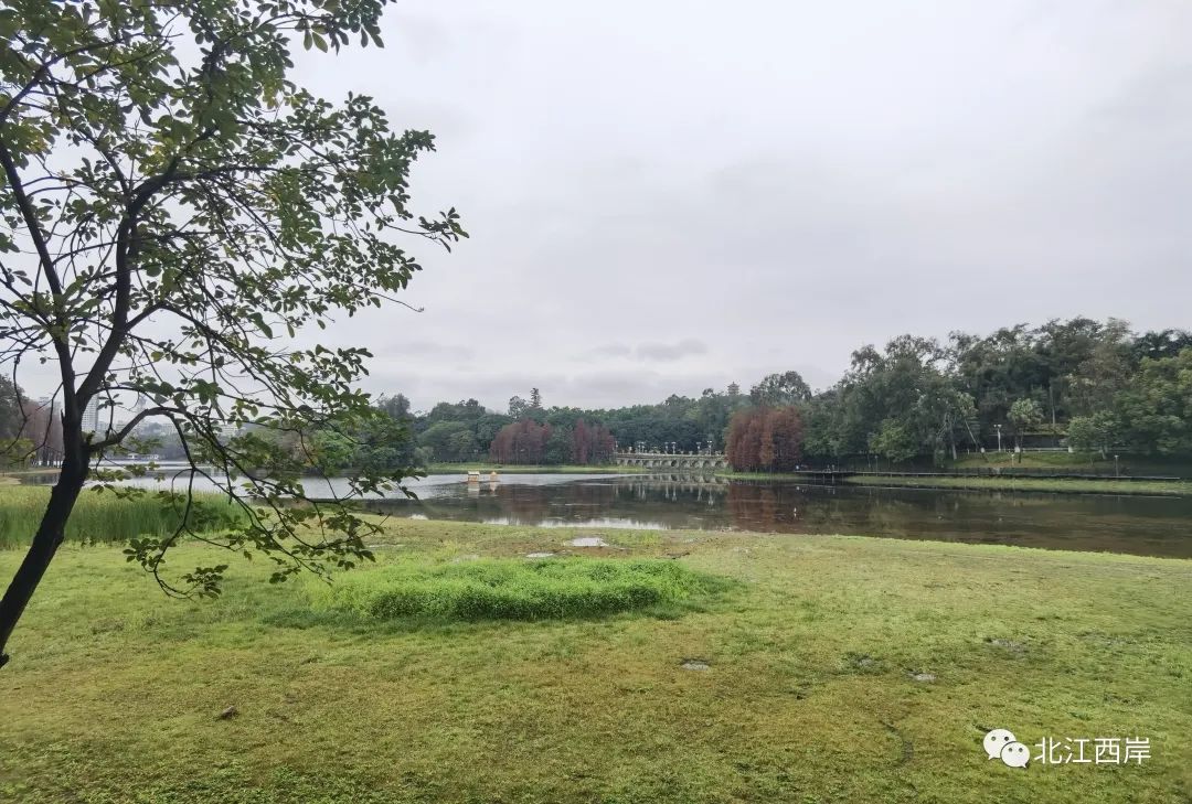 牧童遥指杏花村的遥是什么意思,牧童遥指杏花村书法作品