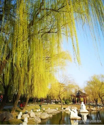 历尽千帆后的平静与淡泊——小学必背古诗王维《田园乐》详解