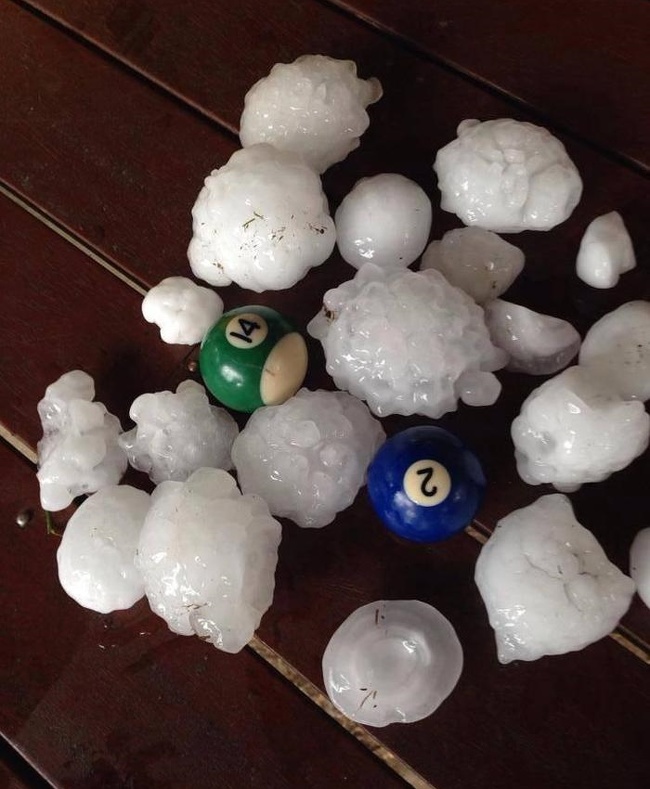 在澳大利亚你可以发现什么,澳大利亚到处能看到动物