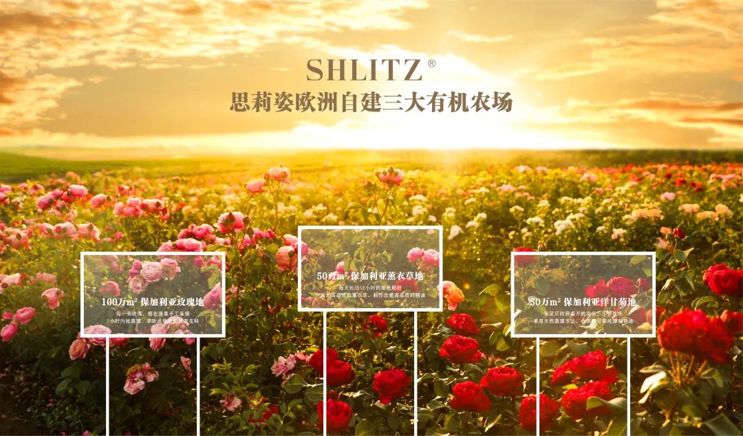 三生思莉姿一套化妆品多少钱,三生思莉姿是什么产品