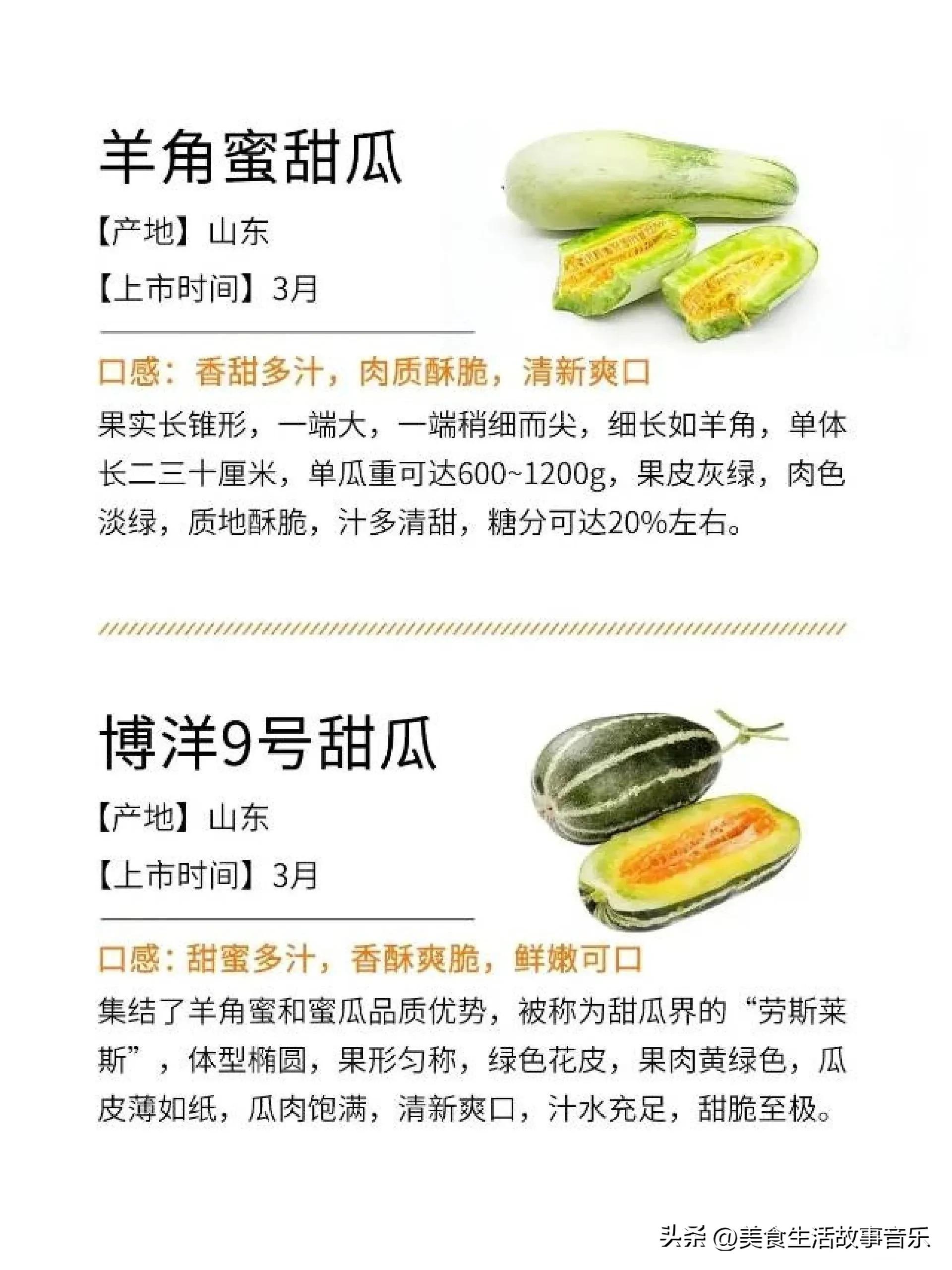 甜瓜熟度最好的品种,甜瓜品种科普图解