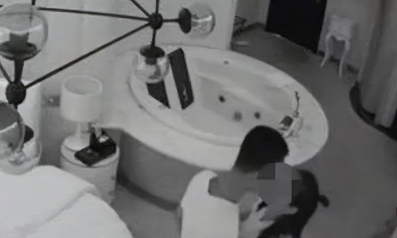 女子手机遗失照片泄露,女子被爆1000多开房记录