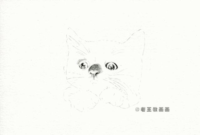 彩铅基础教程，教你画一只小黑猫咪