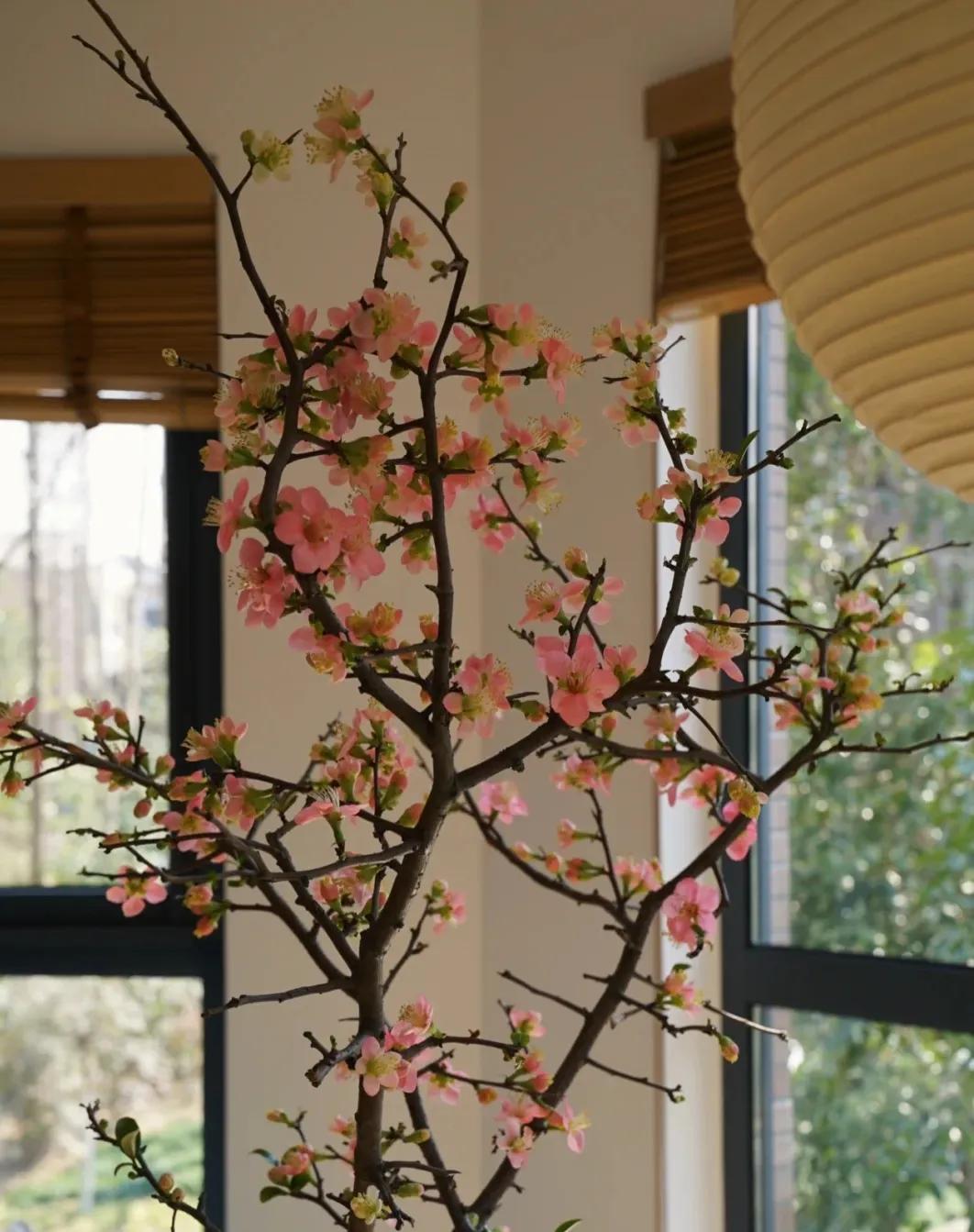 江苏发现一户人家太会装修而走红,安徽房屋室内装修隔断效果图