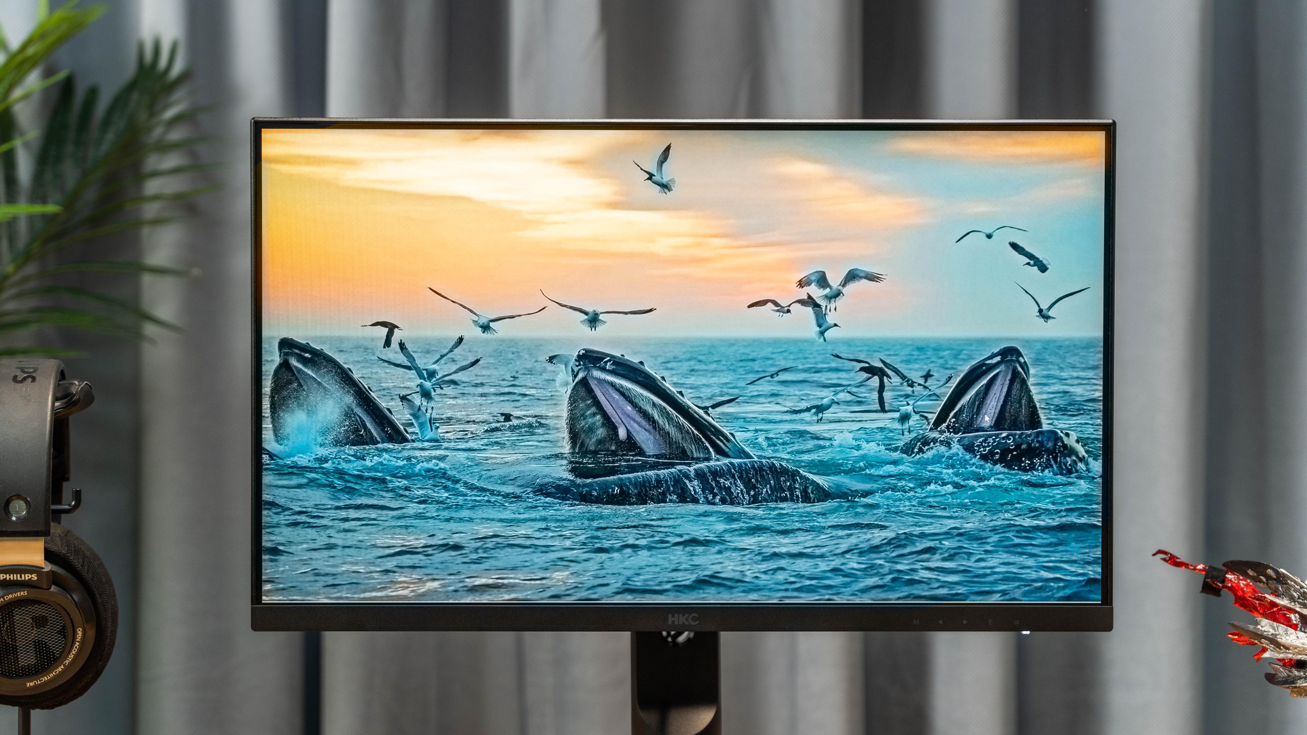 s24pro显示器调测,s24pro显示器