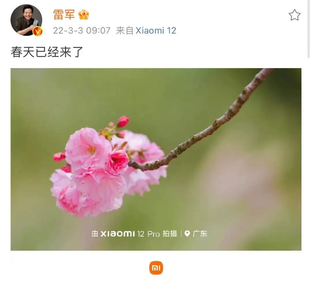 小米破发股市最新消息,小米即将破发的股票